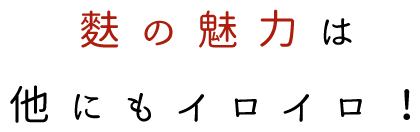 麩の魅力は他にもイロイロ！