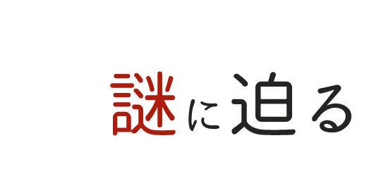 麩の謎に迫る