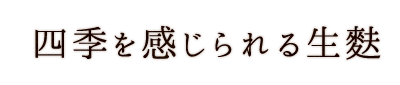 四季を感じられる生麩